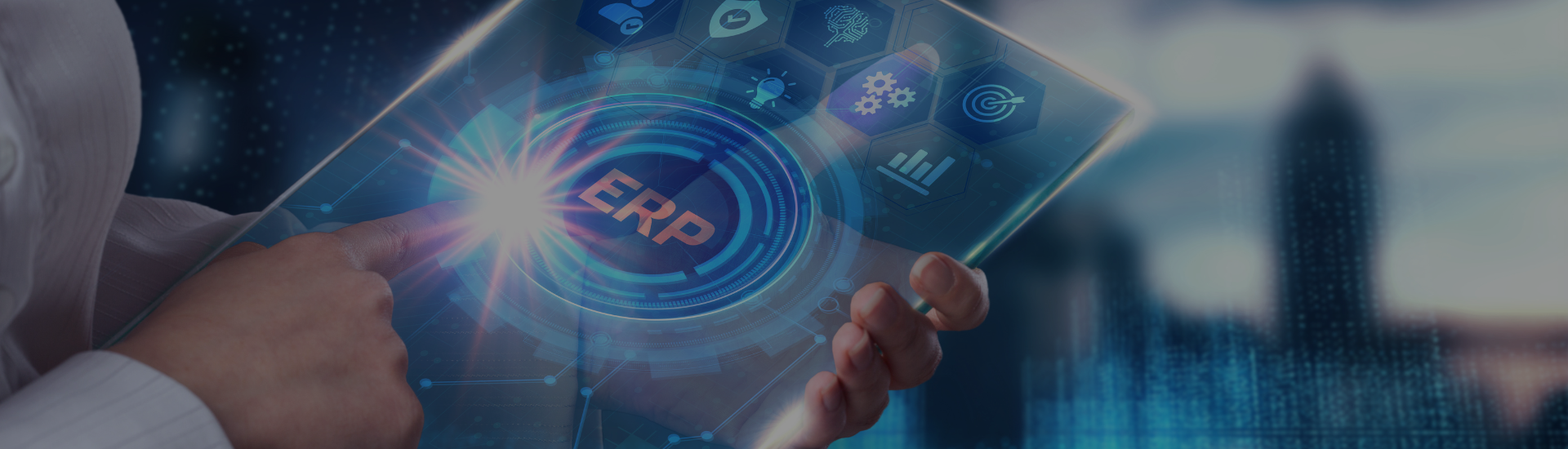 erp-img
